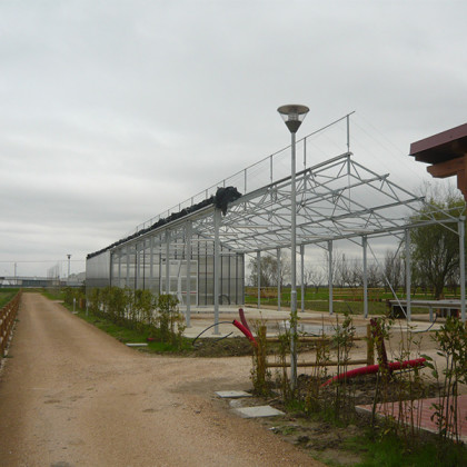 P1020323