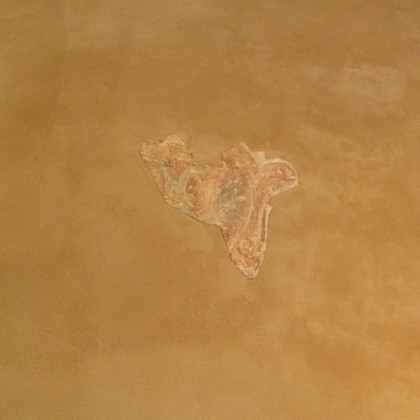 Palazzo Cavriani – Felonica – perimetrazione porzioni di affresco rinvenute